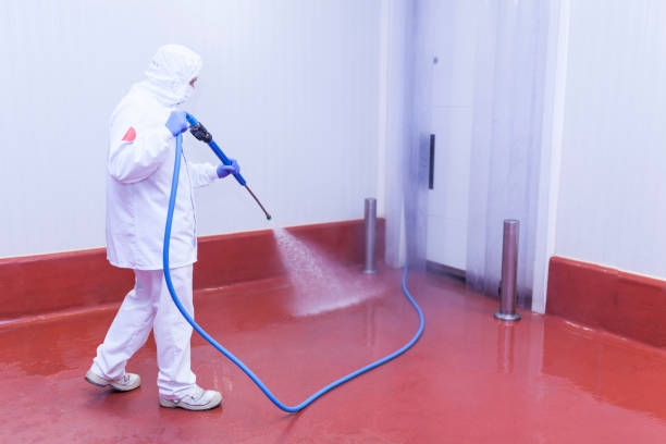 Concrete Sealing in Campo, CA